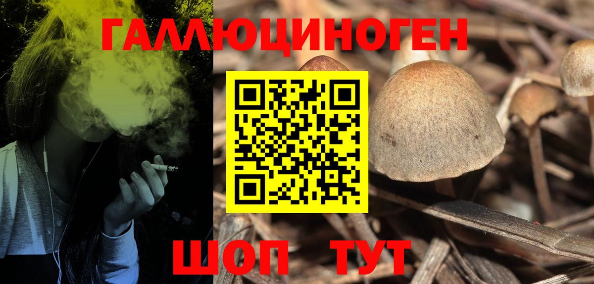 Псилоцибиновые грибы GOLDEN TEACHER Нефтекамск